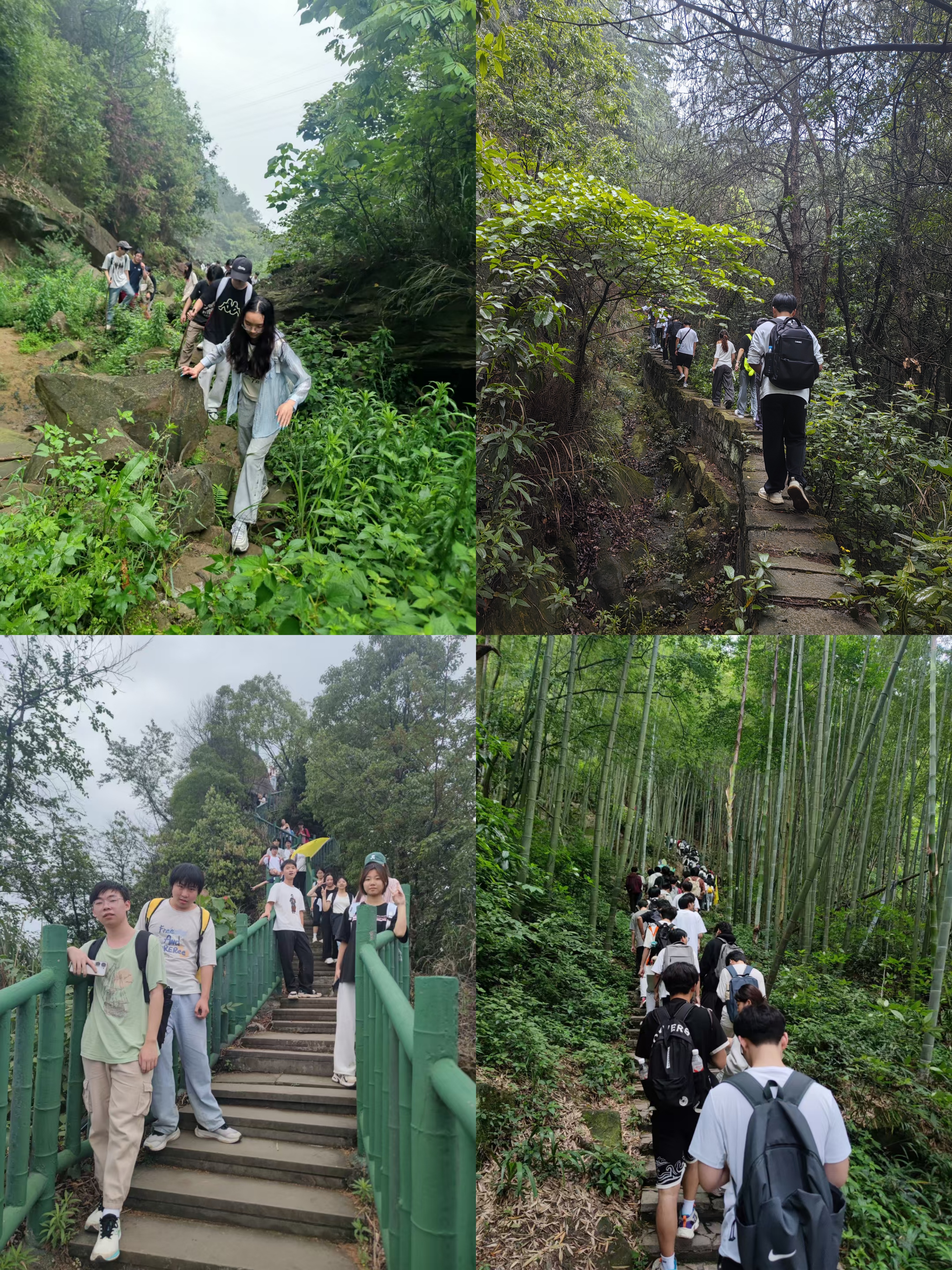 wuDq_1747732489634074207.jpg 未命名.jpg