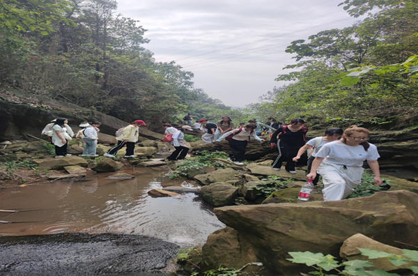 qGdH_1767691478822035329.png 4.png